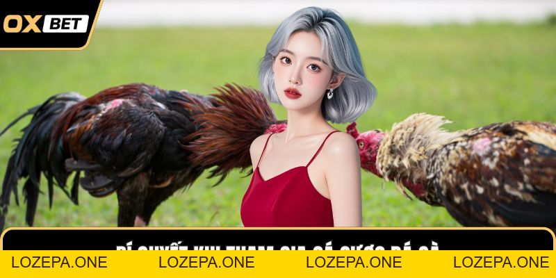 Đá Gà OXBET – Sân Chơi Đỉnh Cao Cho Người Yêu Gà Chiến