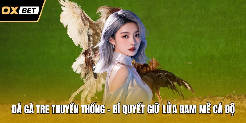 Đá Gà Thomo – Phân Tích Chi Tiết Luật Thi Đấu Chuẩn Quốc Tế
