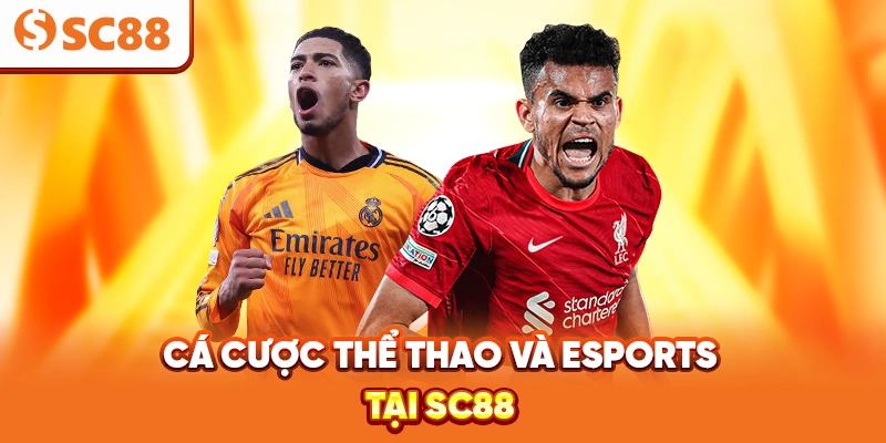 SC88 ✅️ Đăng Ký, Đăng Nhập Trang Chủ SC88.COM ⭐️2026⭐️