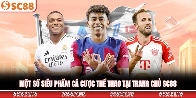 Thể thao SC88 - Sảnh Cược Đầy Ấn Tượng Cho Bet Thủ 2026